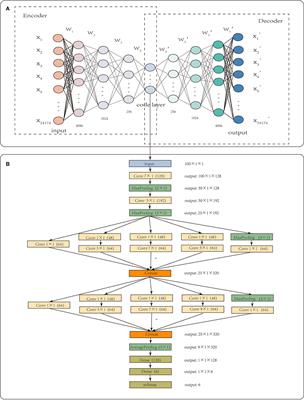 A Deep Learning Framework to Predict Tumor Tissue-of-Origin Based on Copy Number Alteration